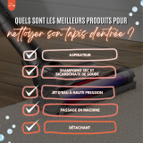 Quels sont les meilleurs produits pour nettoyer son tapis d’entrée ?